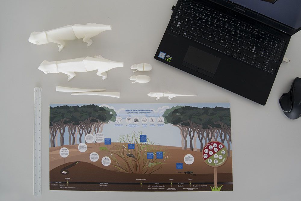 maqueta diseño de espacio