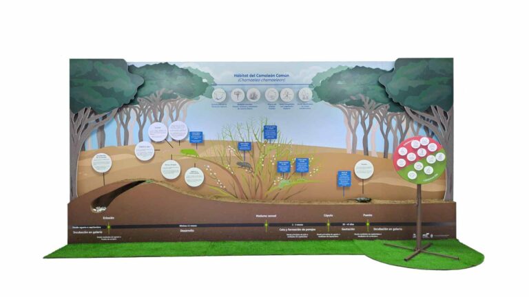 Lee más sobre el artículo Diseño de espacios. Un proyecto de espacio educativo.