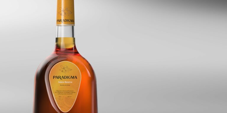 Lee más sobre el artículo Imagen de marca y diseño de producto: el tándem perfecto